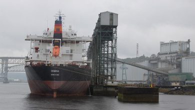 A bulk carrier ship loading grain at a port terminal