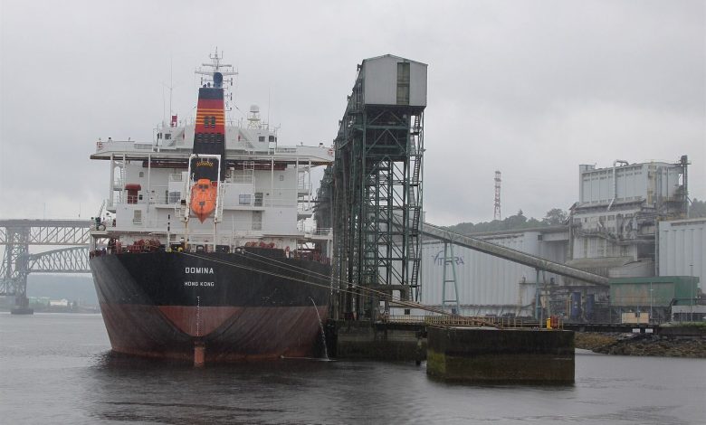 A bulk carrier ship loading grain at a port terminal